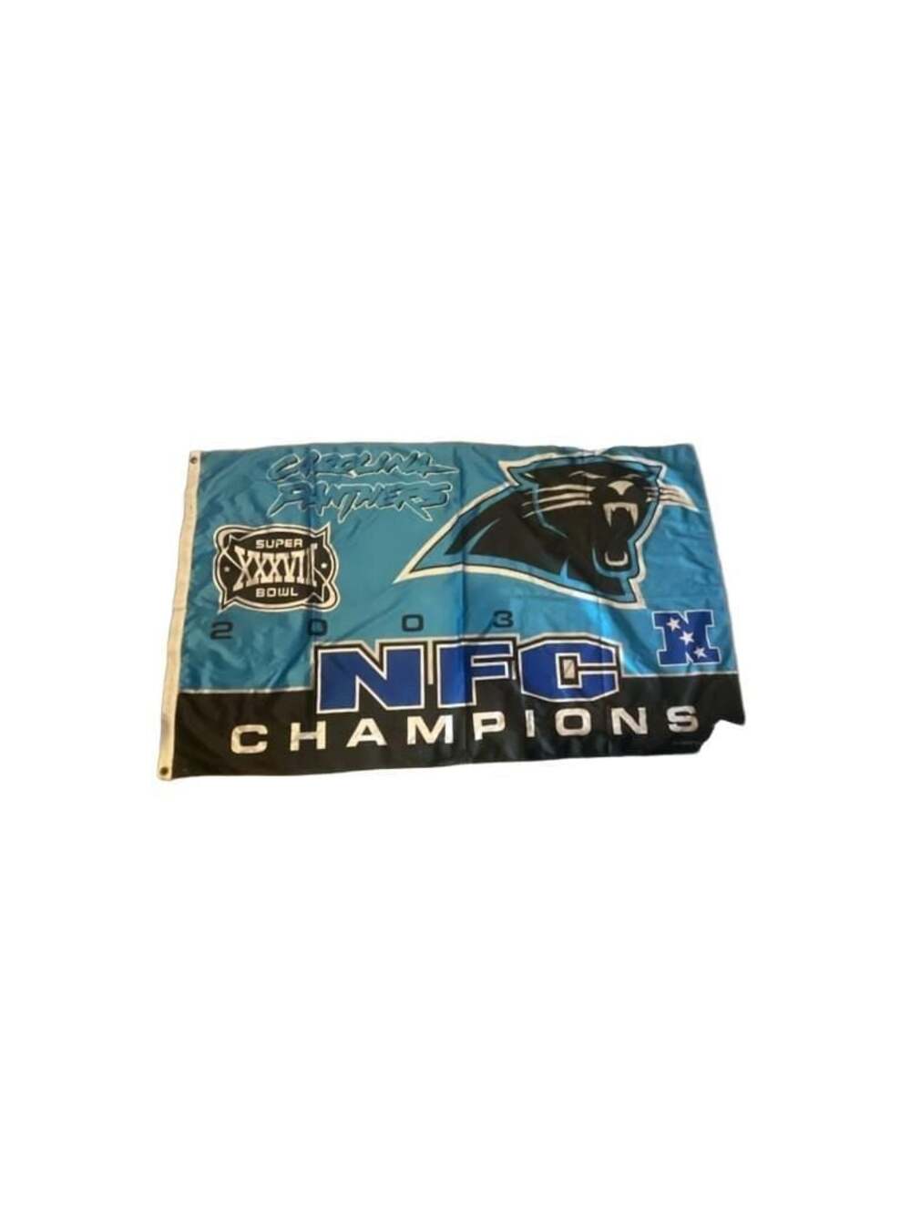 Carolina Panthers 2003 NFC Champions Super Bowl